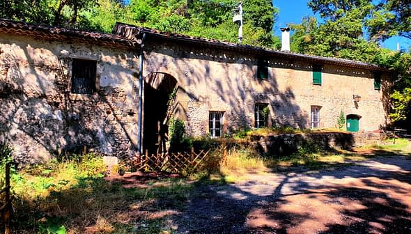 A rustic stone building featuring green windows and a door, surrounded by greenery. - Olive Oil Times
