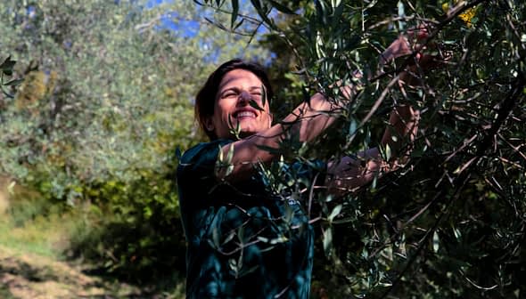Woman smiling while harvesting olives from an olive tree in a natural setting. - Olive Oil Times
