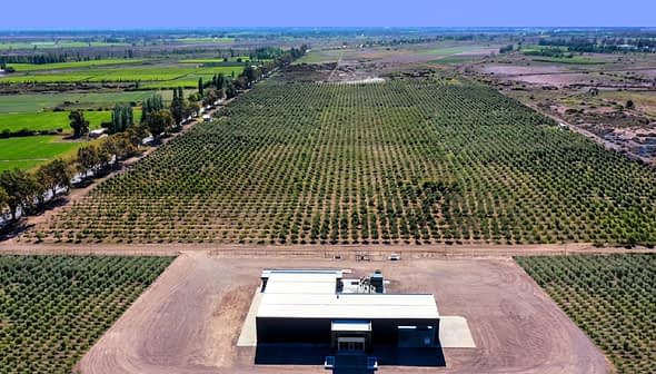 Aerial view of an olive grove with a processing facility in the foreground. - Olive Oil Times