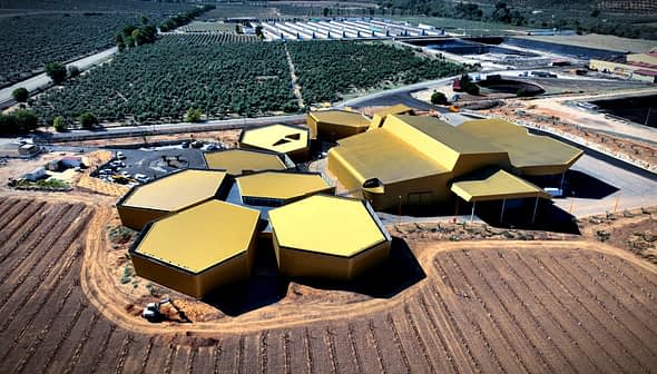 Aerial view of a modern olive oil processing facility with a hexagonal design and yellow roofs. - Olive Oil Times