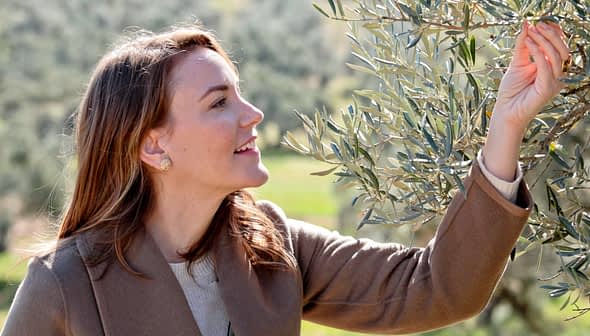 Woman with long brown hair picking olives from an olive tree branch in an outdoor setting. - Olive Oil Times