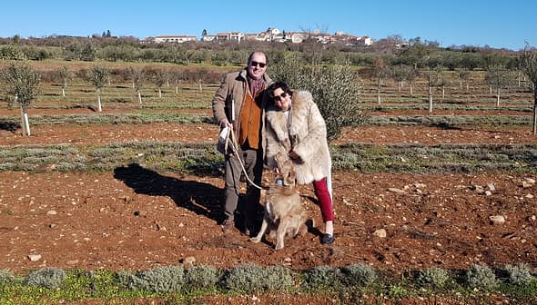 A couple standing in an olive grove with a dog, smiling at the camera. - Olive Oil Times