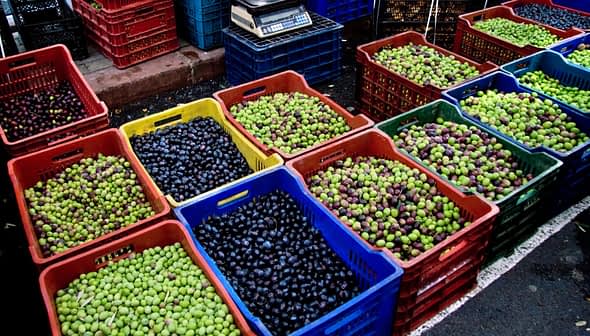 Various baskets filled with green, black, and purple olives arranged at a market. - Olive Oil Times
