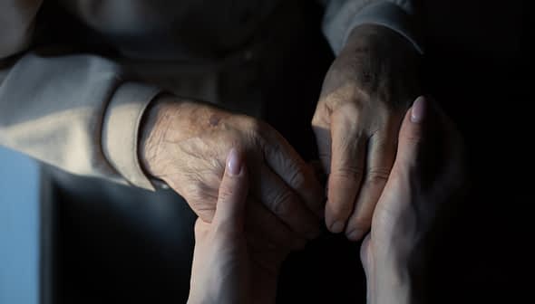 An elderly person's hand holding a younger person's hand, showcasing a connection between generations. - Olive Oil Times