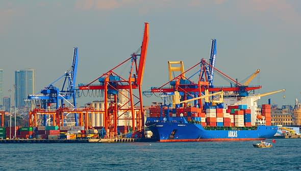 Large blue container ship docked at a port with red and blue cranes in the background. - Olive Oil Times