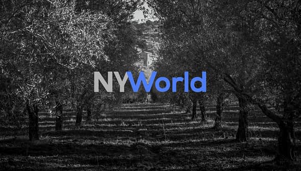 Black and white image of an olive grove with the NYWorld logo overlayed in blue and gray. - Olive Oil Times