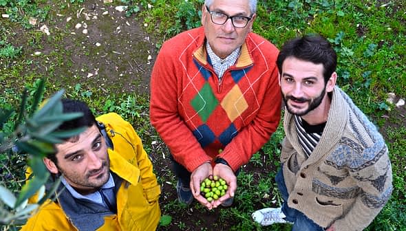 Trije moški stojijo skupaj, eden drži skledo zelenih oliv v rokah. - Olive Oil Times