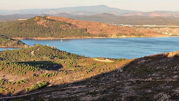 澄んだ空の下の丘、木々、水域を特徴とする海岸の風景。 - Olive Oil Times