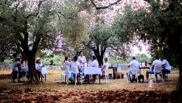 Een groep mensen eet aan tafels onder olijfbomen in de buitenlucht. Olive Oil Times