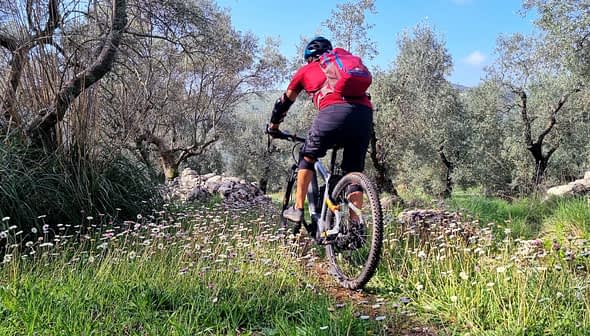 Ένας ποδηλάτης βουνού με κόκκινο πουκάμισο και σακίδιο πλάτης που οδηγεί σε ένα μονοπάτι που περιβάλλεται από ελιές και αγριολούλουδα. - Olive Oil Times