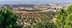 Aerial view of olive groves in the Jordan Valley with rolling hills in the background. - Olive Oil Times