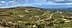 Panoramic view of a vast olive grove with rows of olive trees on rolling hills. - Olive Oil Times