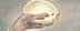Two hands holding a glowing representation of a brain with a light effect. - Olive Oil Times