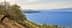 晴れた空の下の青い海とオリーブの木々のある海岸線の美しい景色。 - Olive Oil Times