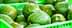 Aguacates verdes frescos exhibidos en cestas de plástico verde en un mercado. Olive Oil Times