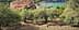 Ulivi in ​​un paesaggio con vista su una città costiera e acqua sullo sfondo. - Olive Oil Times