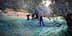 Workers harvesting olives in an orchard using nets and tools for collection. - Olive Oil Times