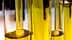 Test tubes containing olive oil samples arranged in a laboratory setting. - Olive Oil Times