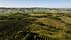 Aerial view of olive groves and rolling hills in a rural landscape. - Olive Oil Times