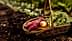 A woven basket containing sweet potatoes, carrots, and a yellow onion among leafy greens. - Olive Oil Times