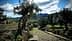 A pathway lined with olive trees in a rural landscape with mountains in the background. - Olive Oil Times