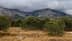 山景，前景是树木，背景是云朵覆盖的山峰。 - Olive Oil Times