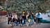 A group of people gathered under a large olive tree, some wearing gloves and smiling at the camera. - Olive Oil Times