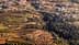 Vue aérienne d'un paysage agricole diversifié comprenant des champs et des arbres dans une zone rurale. - Olive Oil Times