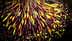 Une image floue de mouvement de diverses olives en cours de traitement, montrant un mélange de couleurs et de types. - Olive Oil Times