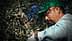 Un uomo che indossa un berretto verde e guanti raccoglie le olive da un ulivo. - Olive Oil Times