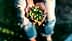 Persona che tiene in mano una collezione di olive verdi e nere appena raccolte. - Olive Oil Times