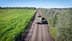 Tractor pulling a trailer loaded with green produce on a dirt road through an olive grove. - Olive Oil Times