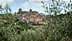 View of the Trequanda province of Siena with olive trees in the foreground and buildings in the background. - Olive Oil Times