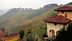 Vineyard landscape featuring terraced rows of grapevines and a house in the foreground. - Olive Oil Times