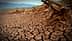 Solo seco e rachado com raízes de árvores expostas em uma paisagem árida. - Olive Oil Times