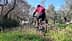 Un ciclista di montagna con una maglietta rossa e uno zaino in spalla che percorre un sentiero circondato da ulivi e fiori selvatici. - Olive Oil Times