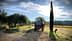 Trattore agricolo rosso parcheggiato su un sentiero sterrato accanto a un vigneto e un cipresso. - Olive Oil Times