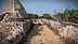 Dirt path flanked by stone walls leading through an agricultural area with greenery. - Olive Oil Times