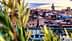 Panoramic view of the Fes Medina with a prominent minaret in the background. - Olive Oil Times