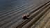Trattore rosso che ara il terreno in un grande campo agricolo con file distinte. - Olive Oil Times