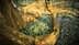 Olives collected in nets during the harvesting process in an olive grove. - Olive Oil Times