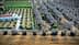 Aerial view showing an olive grove with trees and agricultural land in a rural setting. - Olive Oil Times