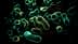 Microscopisch beeld van verschillende bacteriën, kleurrijk en gedetailleerd weergegeven. Olive Oil Times