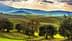 Landschap met glooiende groene heuvels en olijfbomen onder een bewolkte lucht. Olive Oil Times