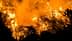 Bei einem Waldbrand vernichten heftige Flammen Bäume und Pflanzen, während Rauch in die Luft steigt. - Olive Oil Times