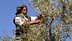 Un homme portant des vêtements traditionnels récoltant des olives sur un arbre à l'aide d'un sécateur. Olive Oil Times