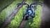 Tractor equipped with spraying apparatus working in a vineyard with rows of grapevines. - Olive Oil Times