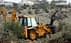 Yellow backhoe loader working in an olive grove, with an olive tree in the background. - Olive Oil Times