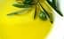 A close-up image of olive oil in a bowl with an olive branch and olives resting on the surface. - Olive Oil Times