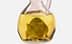 A mouse submerged in a glass bottle filled with yellow liquid, resembling oil. - Olive Oil Times